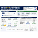 스트레스 DSR
