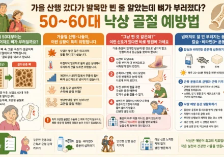낙상 골절 예방